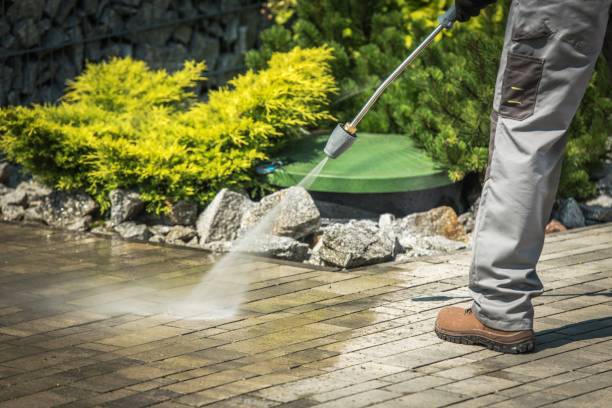 Best Fence Cleaning  in Hazel Crest, IL